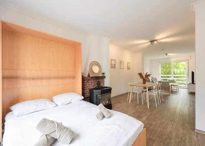 公寓 Light-filled With Private Garden 奥斯滕德